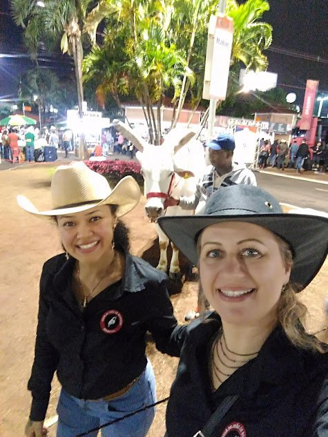 Barretos 2026